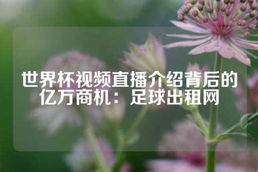 世界杯视频直播介绍背后的亿万商机：足球出租网