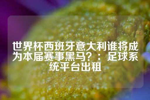 世界杯西班牙意大利谁将成为本届赛事黑马？：足球系统平台出租