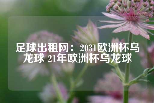 足球出租网：2031欧洲杯乌龙球 21年欧洲杯乌龙球-第1张图片-皇冠信用盘出租