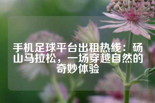 手机足球平台出租热线：砀山马拉松，一场穿越自然的奇妙体验-第1张图片-皇冠信用盘出租