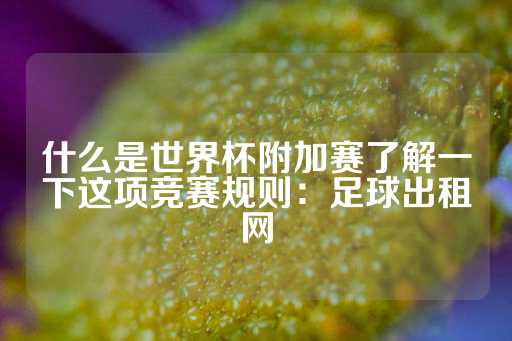 什么是世界杯附加赛了解一下这项竞赛规则：足球出租网-第1张图片-皇冠信用盘出租