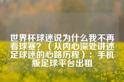 世界杯球迷说为什么我不再看球赛？（从内心深处讲述足球迷的心路历程）：手机版足球平台出租