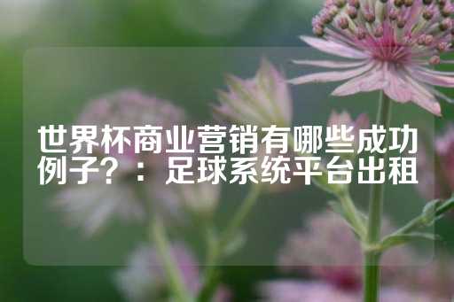 世界杯商业营销有哪些成功例子？：足球系统平台出租