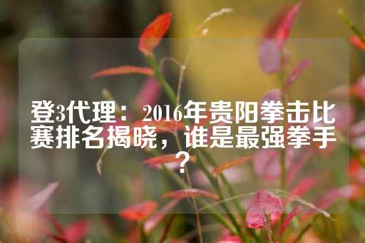 登3代理：2016年贵阳拳击比赛排名揭晓，谁是最强拳手？