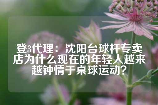 登3代理：沈阳台球杆专卖店为什么现在的年轻人越来越钟情于桌球运动？