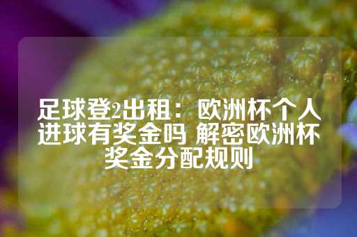 足球登2出租：欧洲杯个人进球有奖金吗 解密欧洲杯奖金分配规则