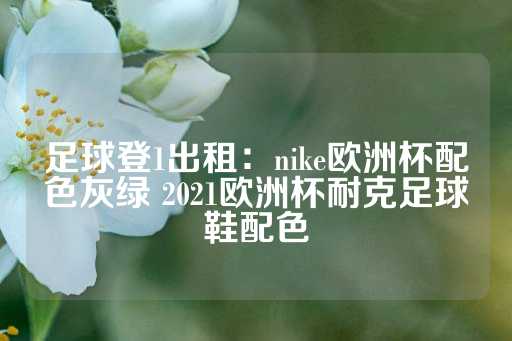 足球登1出租：nike欧洲杯配色灰绿 2021欧洲杯耐克足球鞋配色-第1张图片-皇冠信用盘出租