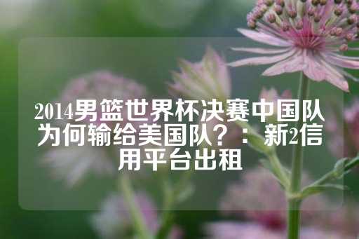 2014男篮世界杯决赛中国队为何输给美国队？：新2信用平台出租