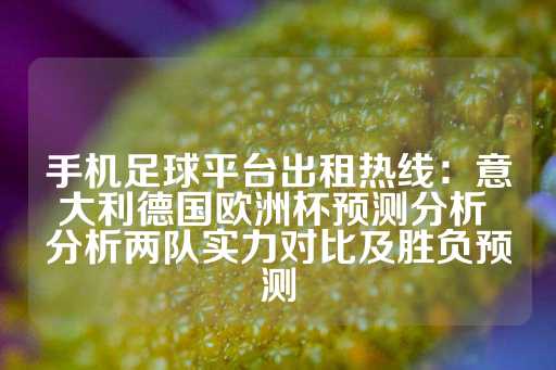 手机足球平台出租热线：意大利德国欧洲杯预测分析 分析两队实力对比及胜负预测