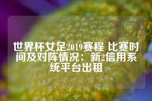 世界杯女足2019赛程 比赛时间及对阵情况：新2信用系统平台出租