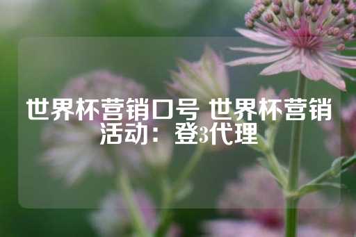 世界杯营销口号 世界杯营销活动：登3代理