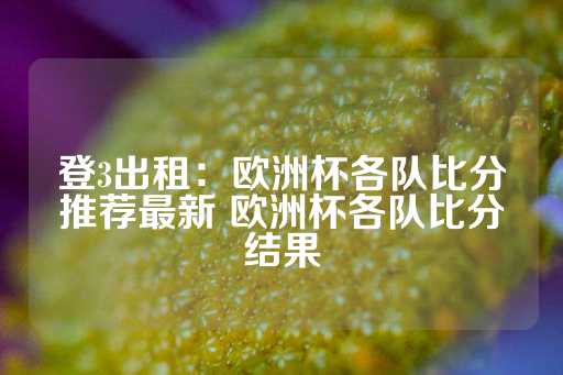 登3出租：欧洲杯各队比分推荐最新 欧洲杯各队比分结果