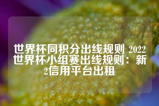 世界杯同积分出线规则 2022世界杯小组赛出线规则：新2信用平台出租