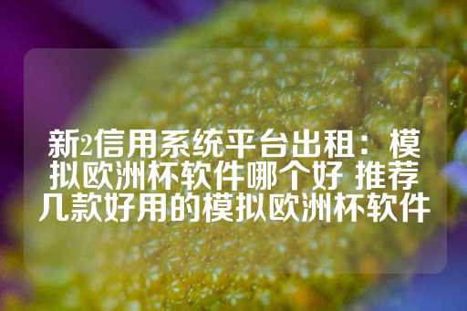 新2信用系统平台出租：模拟欧洲杯软件哪个好 推荐几款好用的模拟欧洲杯软件