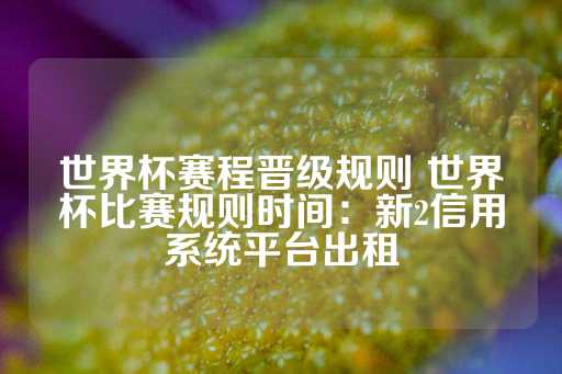 世界杯赛程晋级规则 世界杯比赛规则时间：新2信用系统平台出租