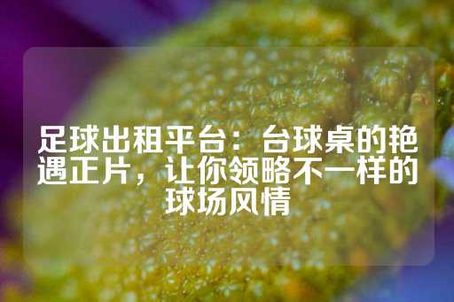 足球出租平台：台球桌的艳遇正片，让你领略不一样的球场风情