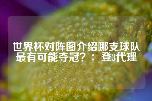 世界杯对阵图介绍哪支球队最有可能夺冠？：登3代理