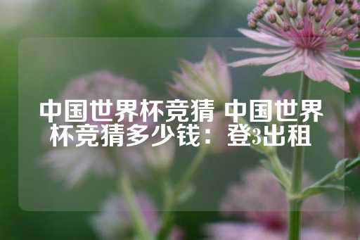 中国世界杯竞猜 中国世界杯竞猜多少钱：登3出租-第1张图片-皇冠信用盘出租