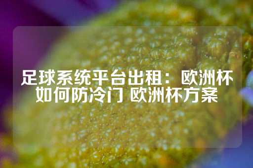 足球系统平台出租：欧洲杯如何防冷门 欧洲杯方案