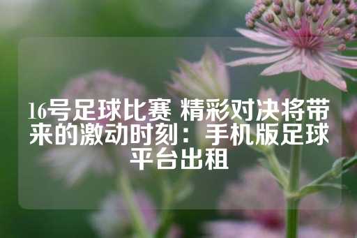 16号足球比赛 精彩对决将带来的激动时刻：手机版足球平台出租