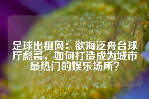 足球出租网：欲海泛舟台球厅彪哥，如何打造成为城市最热门的娱乐场所？