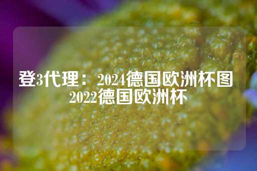 登3代理：2024德国欧洲杯图 2022德国欧洲杯