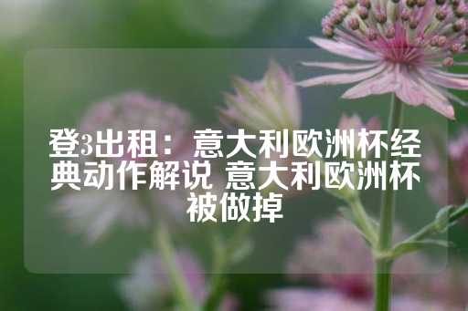 登3出租：意大利欧洲杯经典动作解说 意大利欧洲杯被做掉