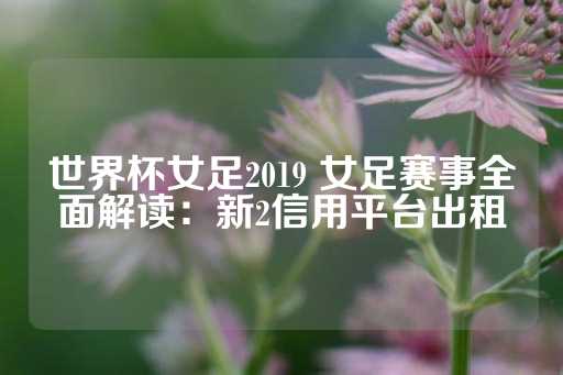 世界杯女足2019 女足赛事全面解读：新2信用平台出租