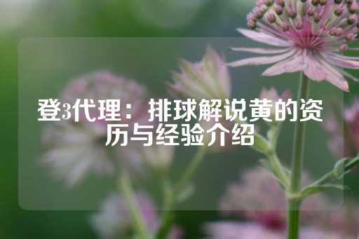 登3代理：排球解说黄的资历与经验介绍