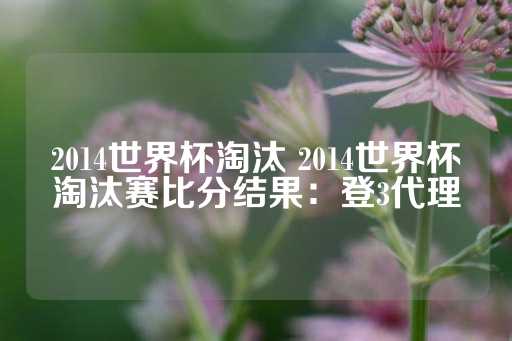 2014世界杯淘汰 2014世界杯淘汰赛比分结果：登3代理