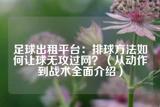 足球出租平台：排球方法如何让球无攻过网？（从动作到战术全面介绍）-第1张图片-皇冠信用盘出租