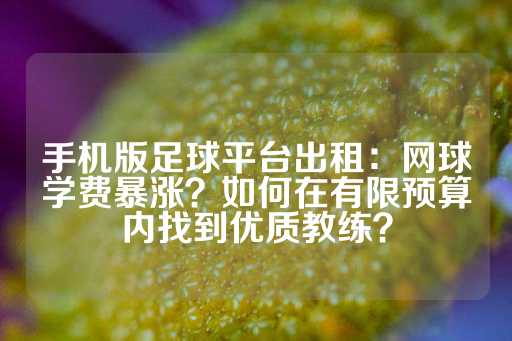 手机版足球平台出租：网球学费暴涨？如何在有限预算内找到优质教练？