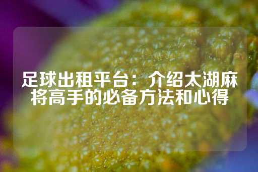 足球出租平台：介绍太湖麻将高手的必备方法和心得