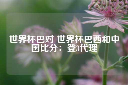 世界杯巴对 世界杯巴西和中国比分：登3代理