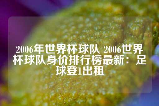 2006年世界杯球队 2006世界杯球队身价排行榜最新：足球登1出租