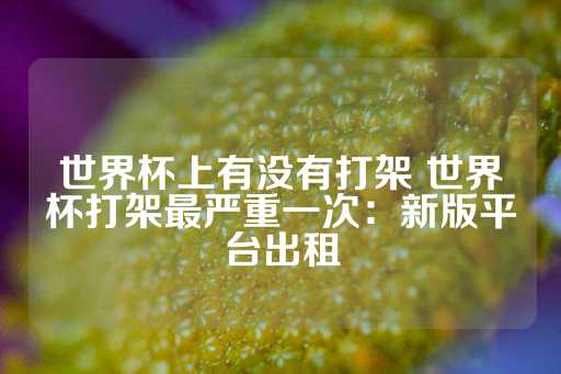 世界杯上有没有打架 世界杯打架最严重一次：新版平台出租-第1张图片-皇冠信用盘出租