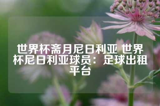 世界杯斋月尼日利亚 世界杯尼日利亚球员：足球出租平台-第1张图片-皇冠信用盘出租