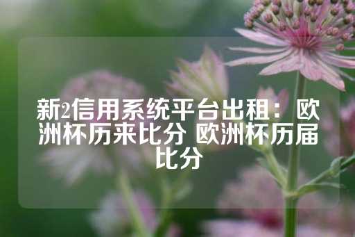 新2信用系统平台出租：欧洲杯历来比分 欧洲杯历届比分