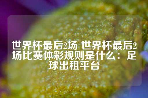 世界杯最后2场 世界杯最后2场比赛体彩规则是什么：足球出租平台