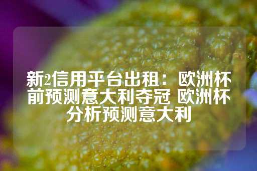 新2信用平台出租：欧洲杯前预测意大利夺冠 欧洲杯分析预测意大利-第1张图片-皇冠信用盘出租