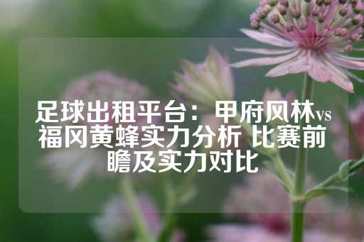 足球出租平台：甲府风林vs福冈黄蜂实力分析 比赛前瞻及实力对比-第1张图片-皇冠信用盘出租