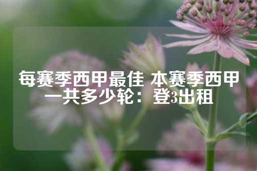 每赛季西甲最佳 本赛季西甲一共多少轮：登3出租-第1张图片-皇冠信用盘出租