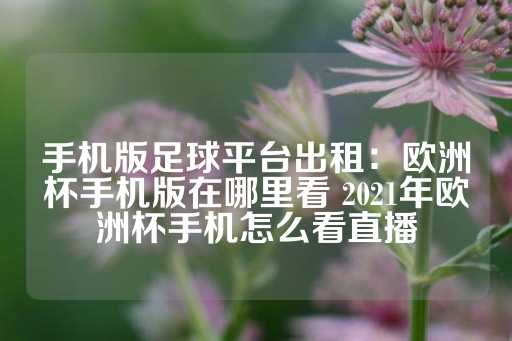 手机版足球平台出租：欧洲杯手机版在哪里看 2021年欧洲杯手机怎么看直播-第1张图片-皇冠信用盘出租