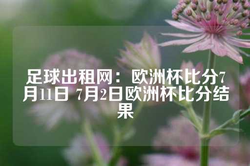 足球出租网：欧洲杯比分7月11日 7月2日欧洲杯比分结果-第1张图片-皇冠信用盘出租