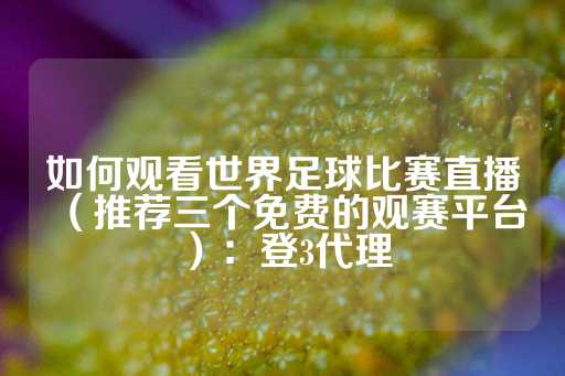 如何观看世界足球比赛直播（推荐三个免费的观赛平台）：登3代理-第1张图片-皇冠信用盘出租