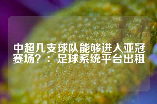 中超几支球队能够进入亚冠赛场？：足球系统平台出租-第1张图片-皇冠信用盘出租