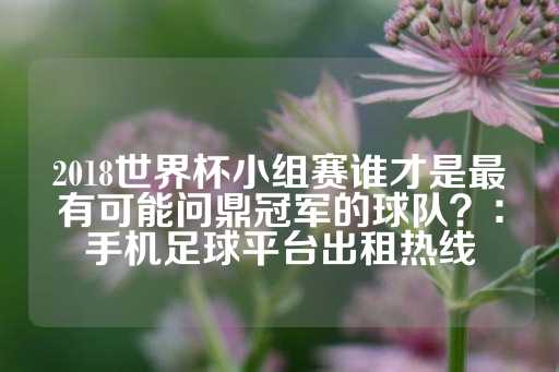 2018世界杯小组赛谁才是最有可能问鼎冠军的球队？：手机足球平台出租热线