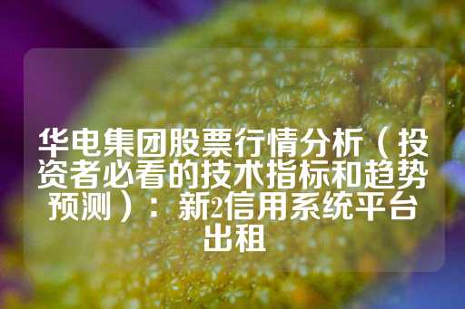 华电集团股票行情分析（投资者必看的技术指标和趋势预测）：新2信用系统平台出租