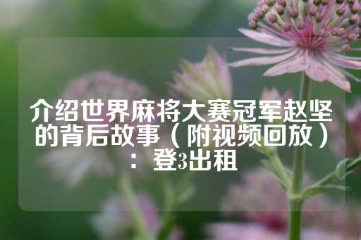 介绍世界麻将大赛冠军赵坚的背后故事（附视频回放）：登3出租