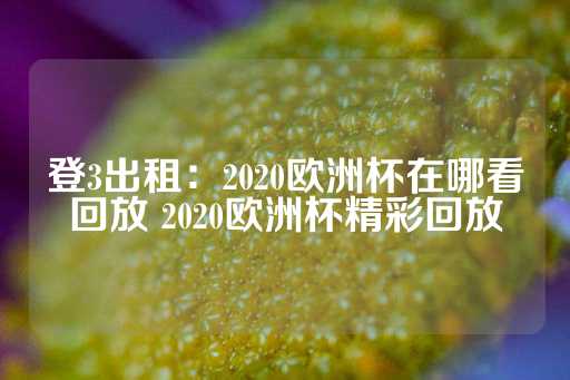 登3出租：2020欧洲杯在哪看回放 2020欧洲杯精彩回放